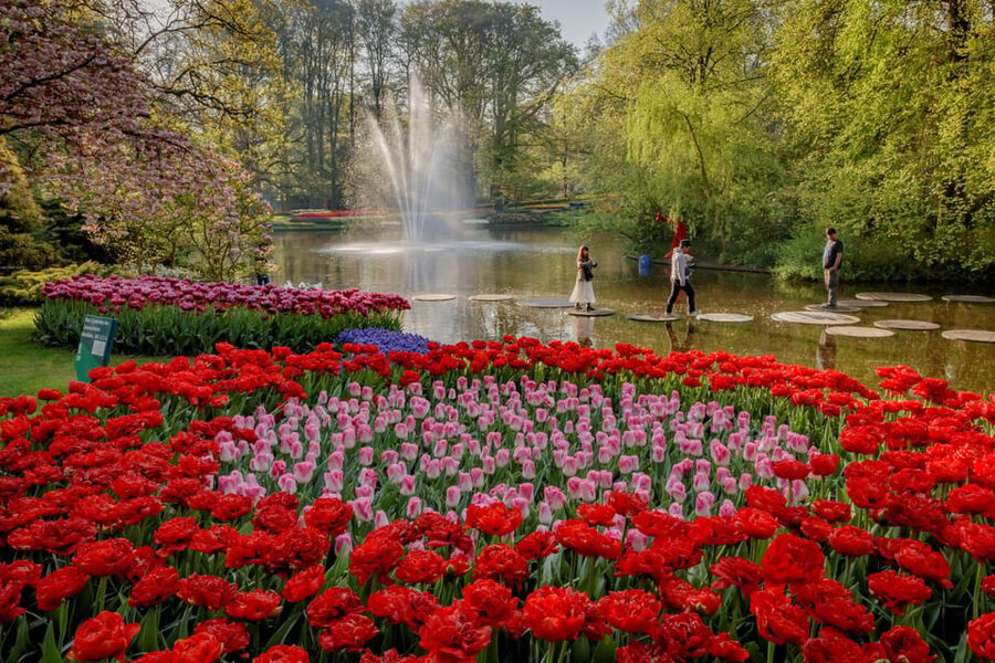 Amsterdam: Day Tour Keukenhof and Zaanse Schans Windmills - What self-guided really means