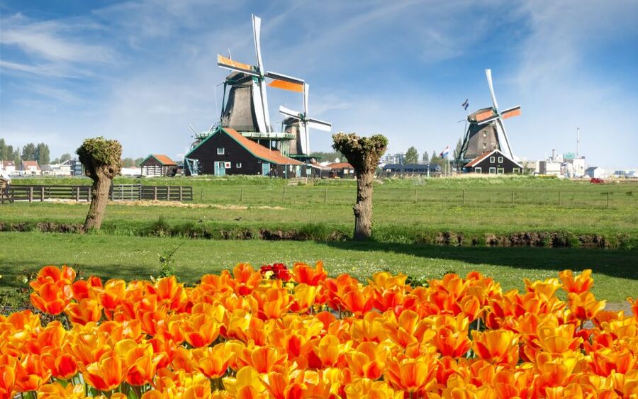Amsterdam: Day Tour Keukenhof and Zaanse Schans Windmills - Weather, crowds, and what to pack