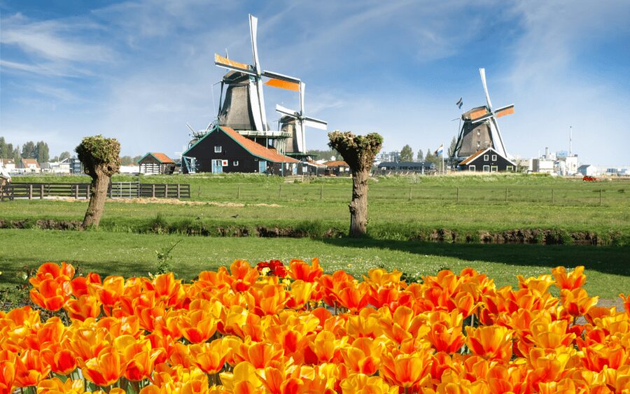 Amsterdam: Day Tour Keukenhof and Zaanse Schans Windmills - Getting to This is Holland from Amsterdam Central