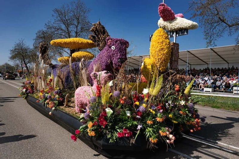 Amsterdam: Day Trip to Flower Parade & Keukenhof on April 18 - Practical limits you should know before booking