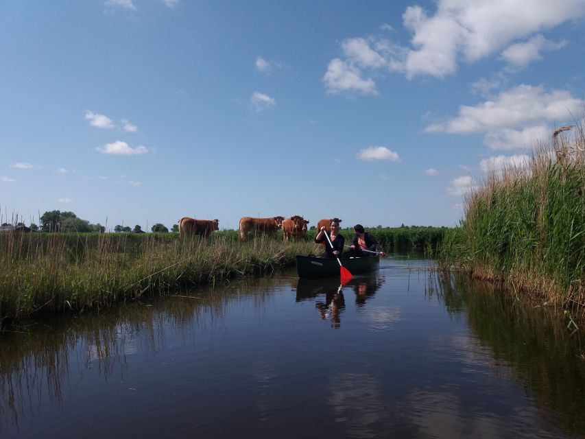 Amsterdam: Dutch Countryside Sunset Canoe Tour - Sunset over the Dutch polder country