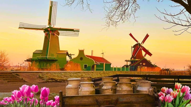 Amsterdam: Giethoorn & Zaanse Schans Small Group Day Trip - Why this day trip works for a busy Amsterdam visit