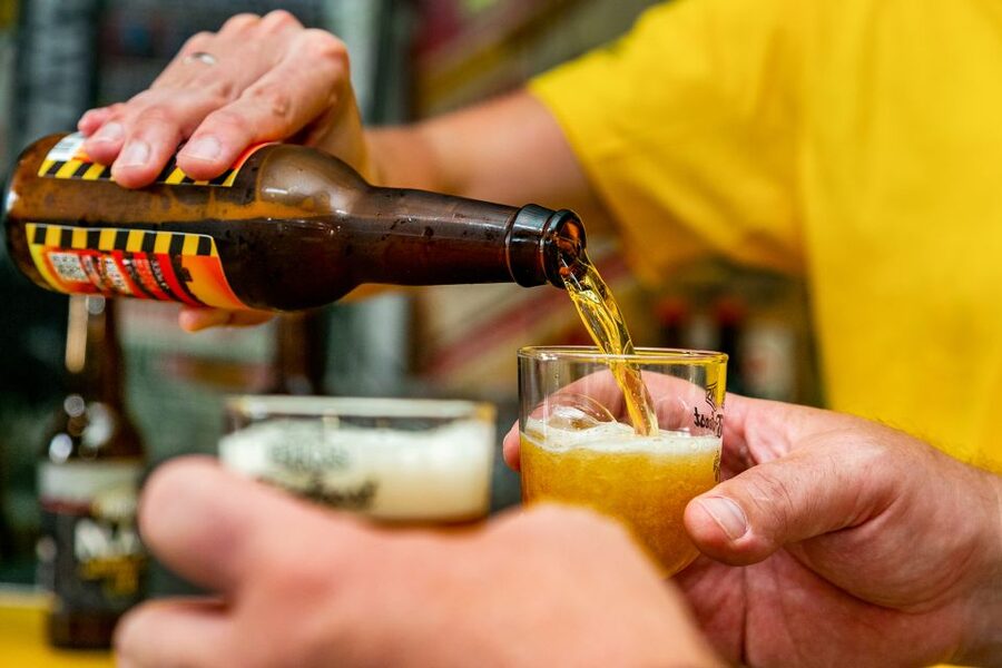 Amsterdam: Guided Craft Beer Brewery Bus Tour with Tastings - The exclusive brewery tour and its 45-minute visit