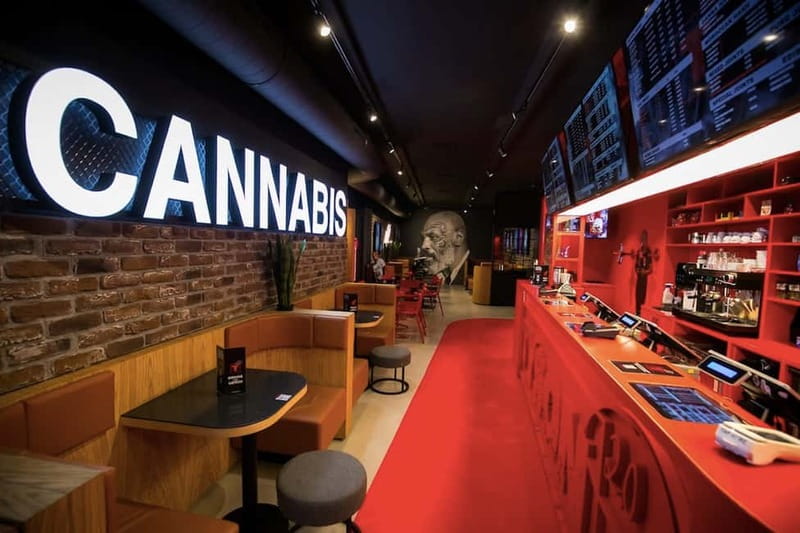 Amsterdam: Guided Ganja Walking Tour of Coffee Shops - Coffee Shop Tyson 2.0 and the Practical Cannabis Lesson