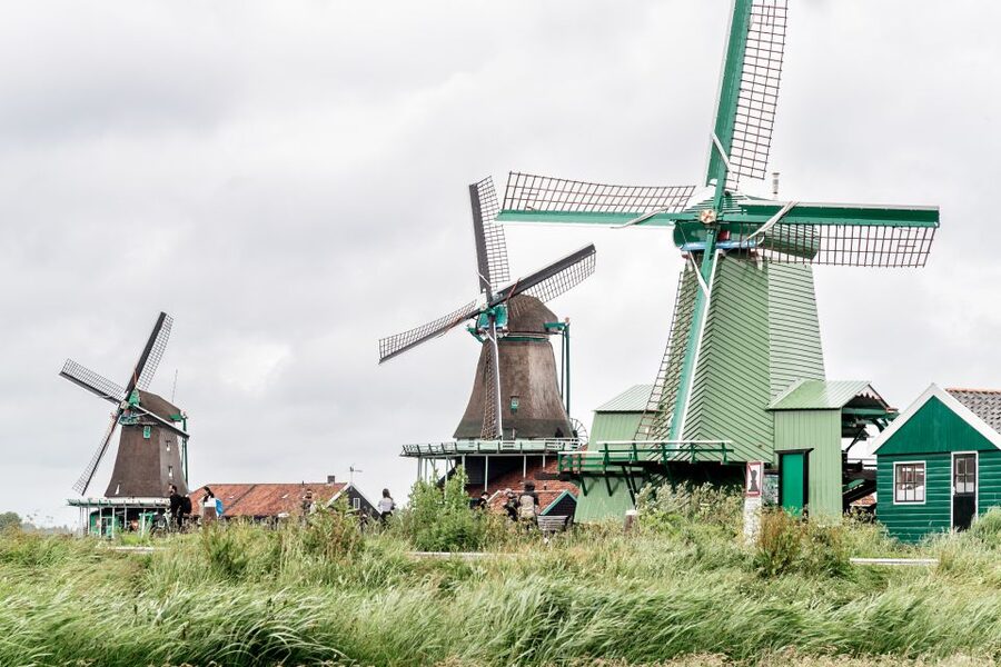 Amsterdam: Guided Zaanse Schans, Windmills & Cheese Tour - Why the guide matters