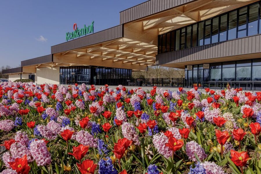 Amsterdam: Half-Day Flower Fields and Keukenhof Bicycle Tour - Key points at a glance