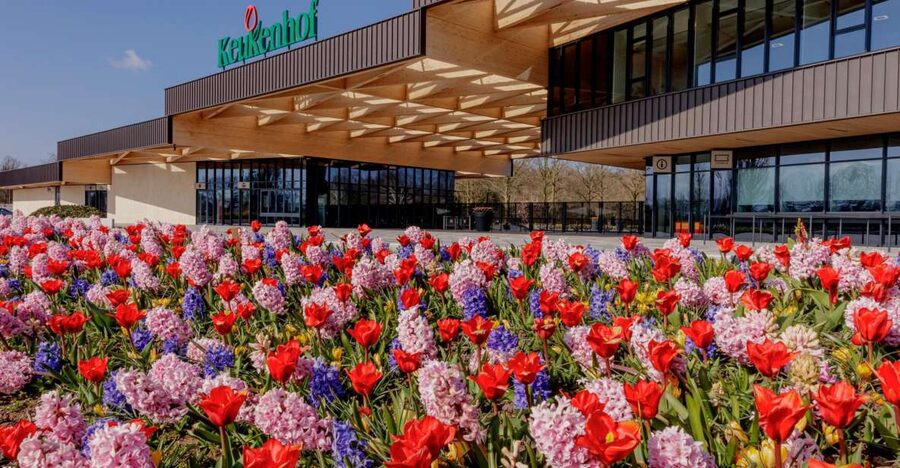 Amsterdam: Half-Day Flower Fields and Keukenhof Bicycle Tour - Starting at Amsterdam Central Station