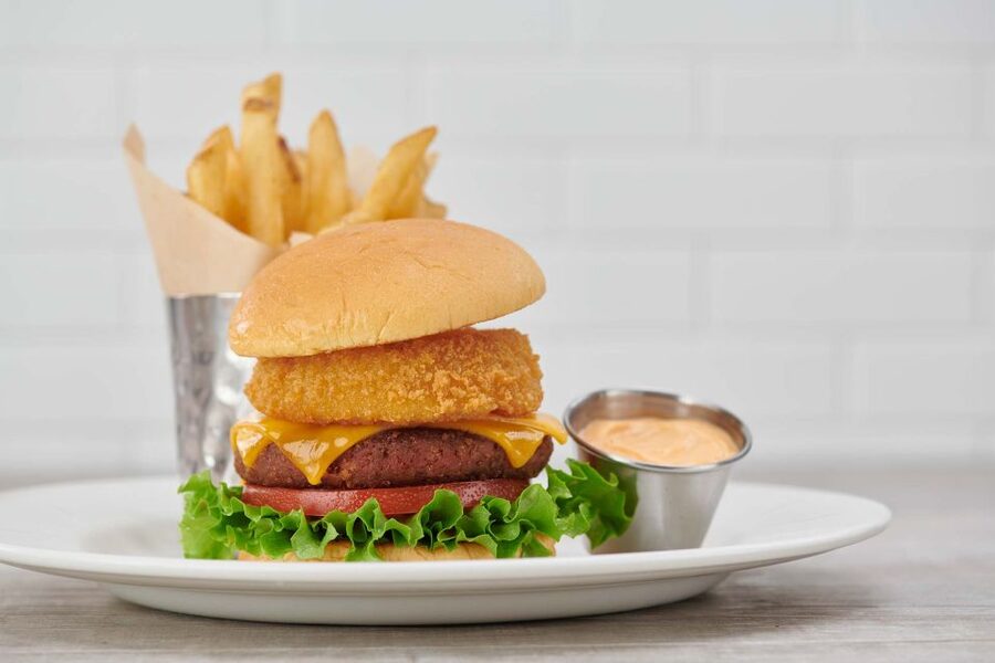 Amsterdam: Hard Rock Cafe Experience - Canal views change the feel of the meal
