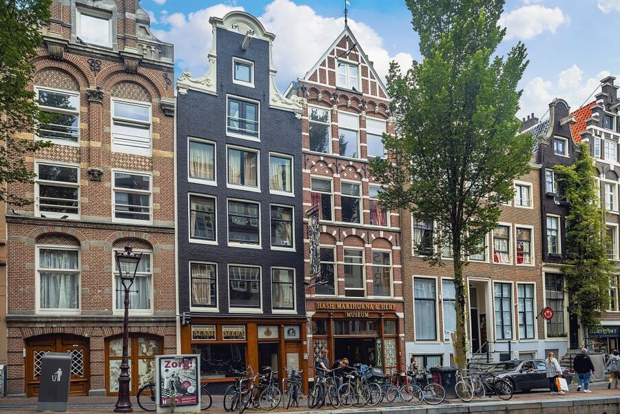 Amsterdam: Hash, Marihuana, and Hemp Museum Entry Ticket - The live cannabis garden adds something real