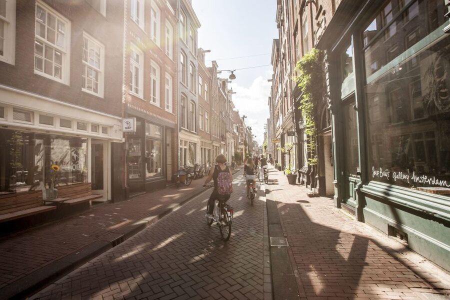 Amsterdam: Hidden Gems & Highlights Guided Bike Tour - Cruising Through Vondelpark