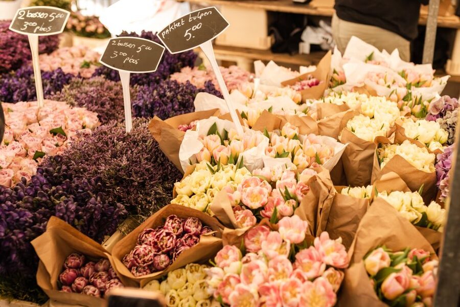 Amsterdam: Highlights & Hidden Gems Private Walking Tour - Canal banks and the floating flower market