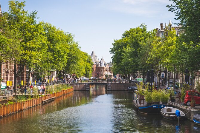 Amsterdam Highlights Small-Group Walking Tour - Begijnhof, Spui, and a quieter pause