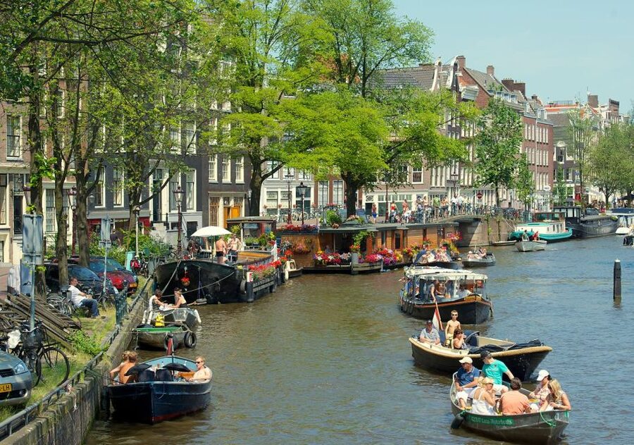 Amsterdam: Historic Walking Tour - How the guides shape the experience