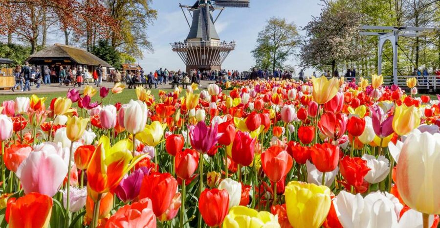 Amsterdam: Keukenhof and Zaanse Schans Live Guided Day Tour - The clog-making workshop