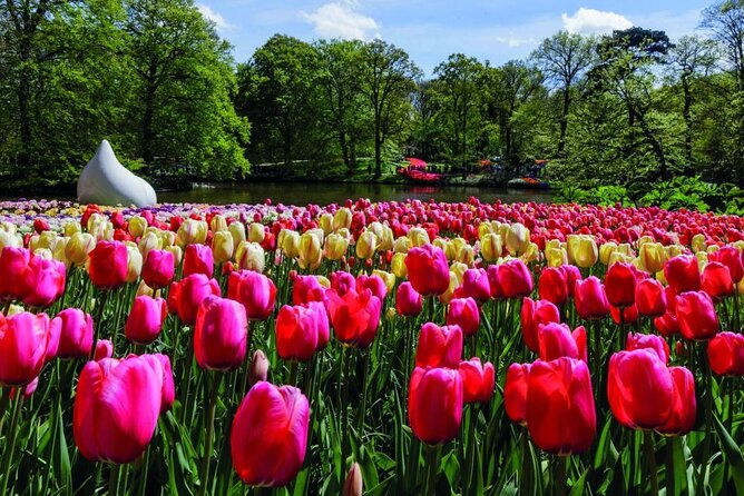Amsterdam: Keukenhof Entry & Shuttle Bus with Flexible Return - What $42.33 gets you