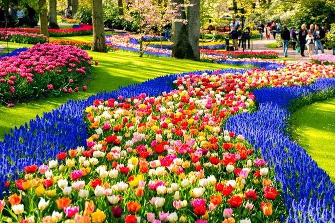 Amsterdam : Keukenhof FlowerFarm Privatetour Skip-The-Line ticket - Adding Noordwijk Beach and a North Sea lunch
