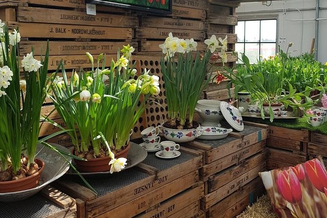 Amsterdam : Keukenhof FlowerFarm Privatetour Skip-The-Line ticket - Who will enjoy this private flower tour?
