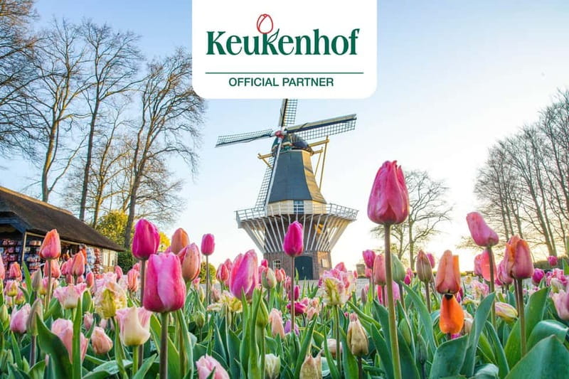 Amsterdam: Keukenhof Ticket and Roundtrip Shuttle Transfer - Why this Keukenhof trip works so well