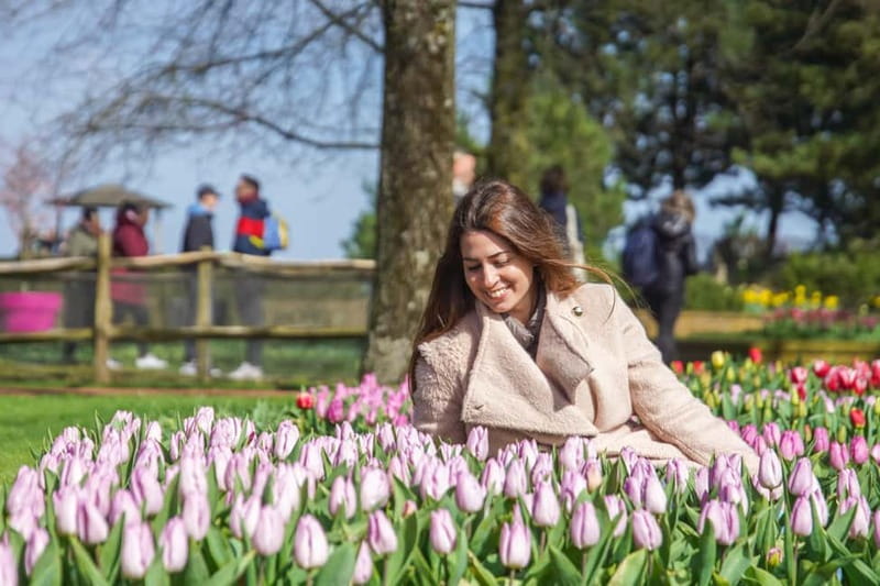 Amsterdam: Keukenhof Ticket and Roundtrip Shuttle Transfer - The coach ride to Keukenhof