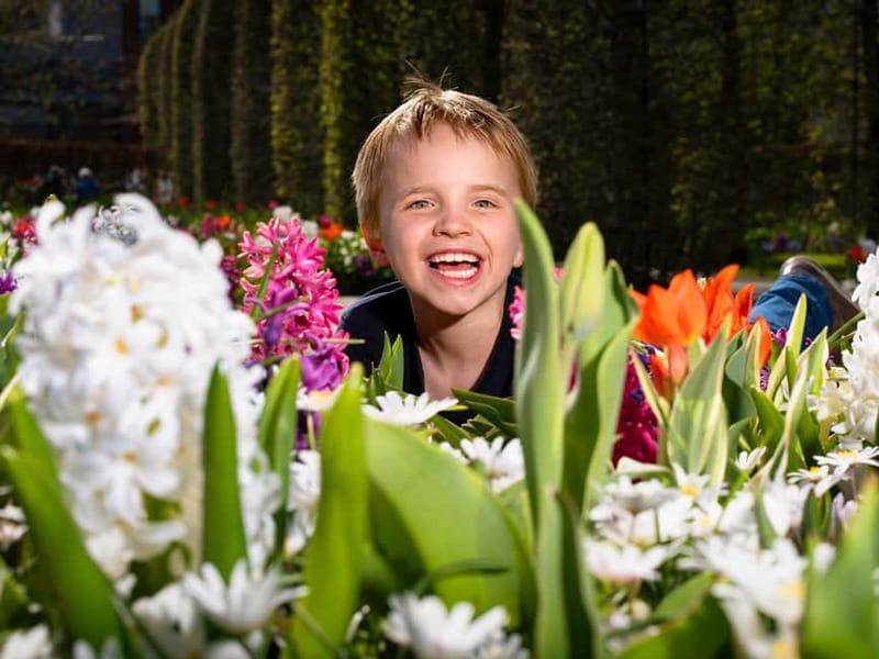 Amsterdam: Keukenhof Ticket and Roundtrip Shuttle Transfer - Returning to Amsterdam every 30 minutes