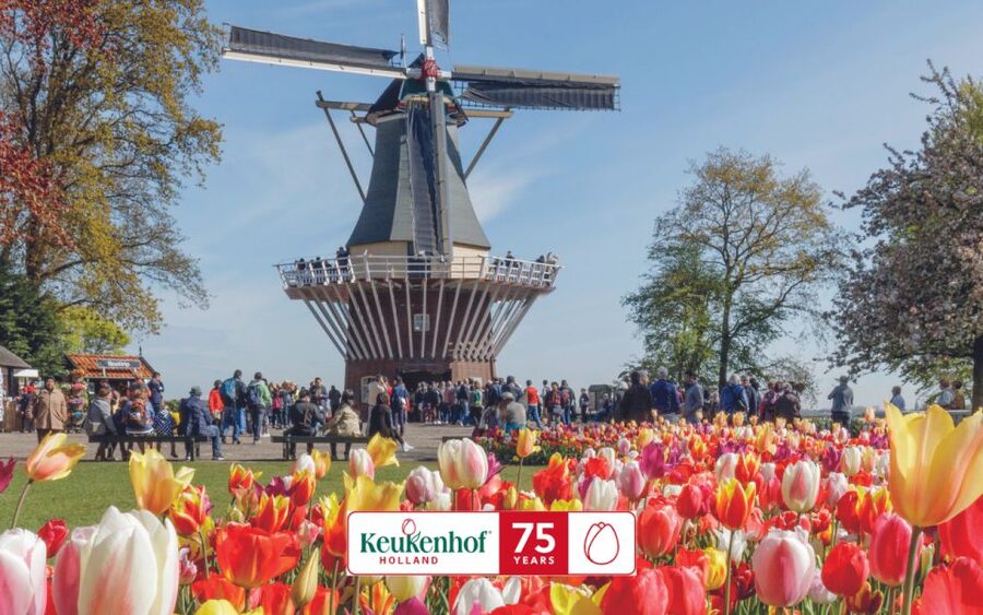 Amsterdam: Keukenhof Ticket and Roundtrip Shuttle Transfer - How the $40 price compares with the experience