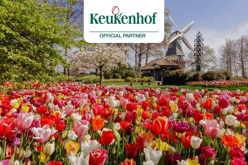 Amsterdam: Keukenhof Ticket and Roundtrip Shuttle Transfer - Getting from Amsterdam Central to This is Holland