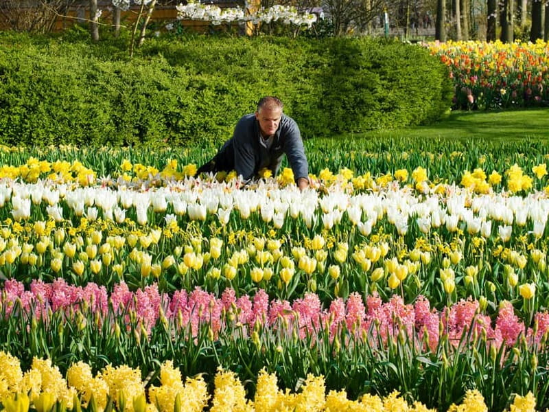Amsterdam: Keukenhof, Tulip Farm Full-Day Tour with Cruise - How tiring is the full day?