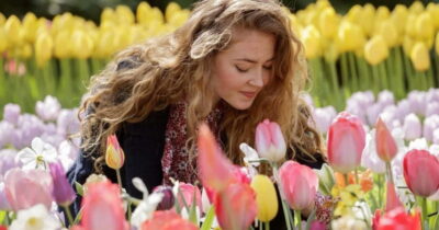 Keukenhof, Tulip Farm Full-Day Tour with Cruise
