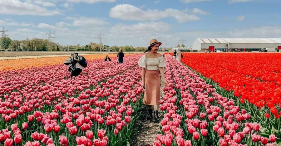 Amsterdam: Keukenhof, Tulip Farm Full-Day Tour with Cruise - The flower region on the way to Keukenhof