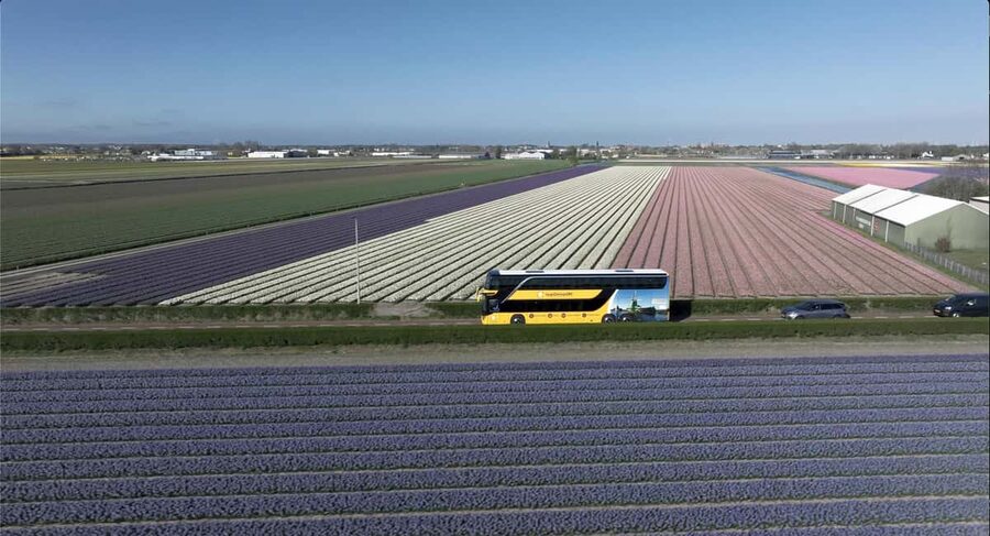 Amsterdam: Keukenhof, Tulip Farm Full-Day Tour with Cruise - Taking your time inside Keukenhof