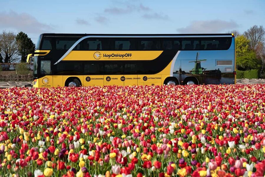 Amsterdam: Keukenhof, Tulip Farm Full-Day Tour with Cruise - What the $96 price really covers