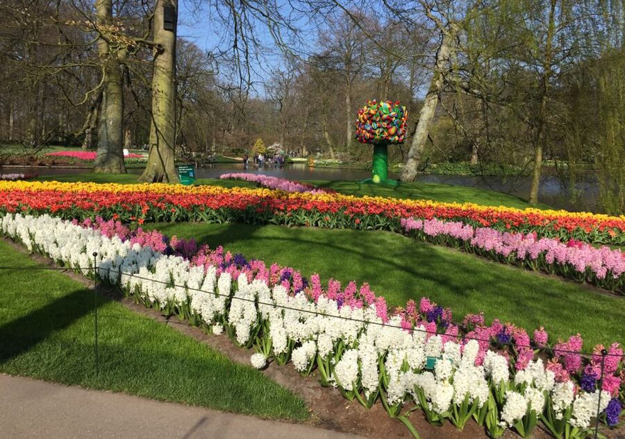 Amsterdam: Keukenhof Tulip Garden and Giethoorn Experience - Meeting in Amsterdam at 8:30 AM