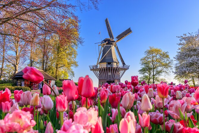 Amsterdam: Keukenhof, Zaanse Schans & Volendam Tour - At a glance