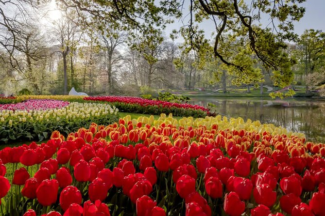 Amsterdam: Keukenhof, Zaanse Schans & Volendam Tour - Keukenhof: the star of the spring season
