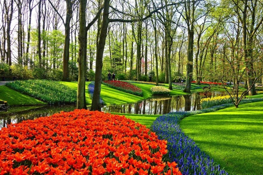 Amsterdam: Keukenhof & Zaanse Schans Windmills Private Tour - Zaanse Schans: windmills, workshops, and wooden houses