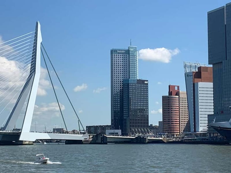 Amsterdam: Kinderdijk, Euromast, Delft and Den Haag Day Tour - How to prepare for a full van day