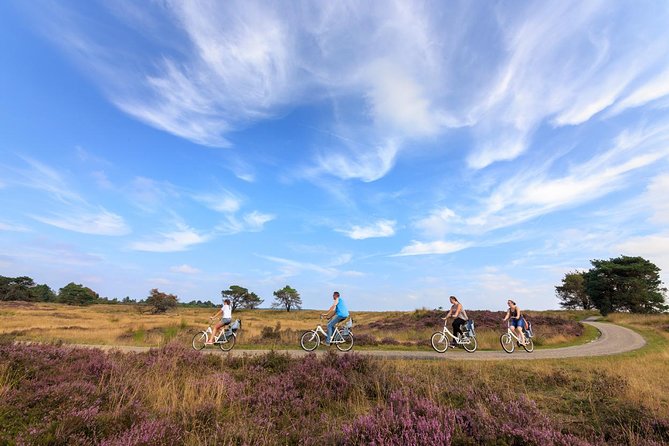 Amsterdam: Kröller Müller Museum and Hoge Veluwe NP Private Tour - How Much Value Do You Get for $72?