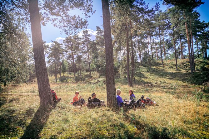 Amsterdam: Kröller Müller Museum and Hoge Veluwe NP Private Tour - What to Pack and How to Pace the Day