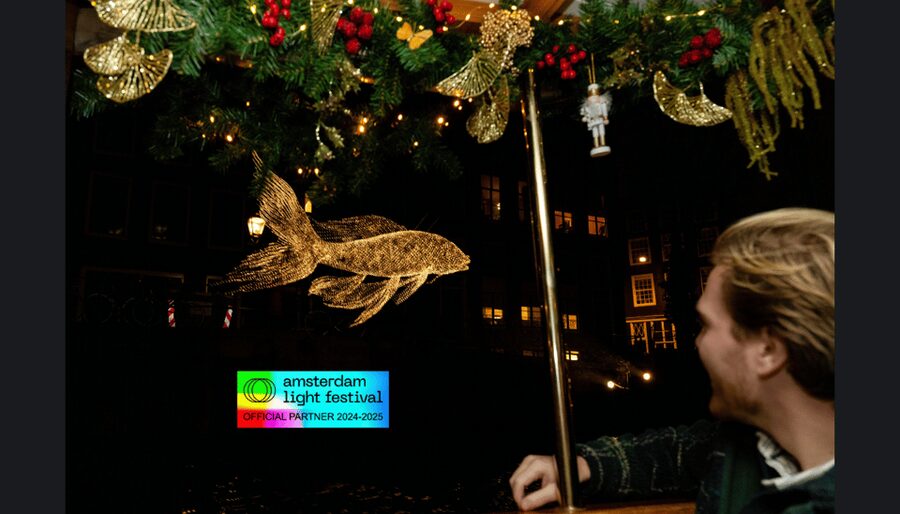 Amsterdam: Light Festival Cruise With Drinks & Snacks - Who will enjoy this cruise most?