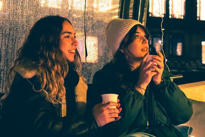 Amsterdam: Light Festival Cruise with Unlimited Drinks Option - What the Amsterdam Light Festival cruise feels like
