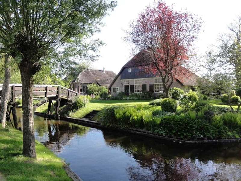 Amsterdam: Live GuideD Giethoorn Boat Tour & Cheese Platter - Who should book this Giethoorn tour?