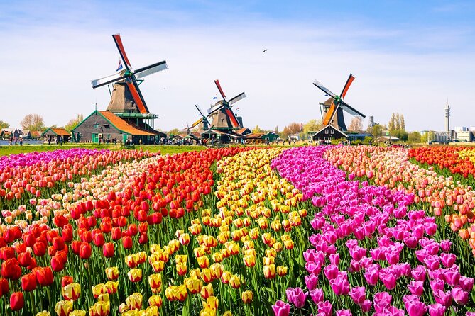Amsterdam Pass: 45+ Things To Do - Includes Rijksmuseum - Small museums with a clear point of view