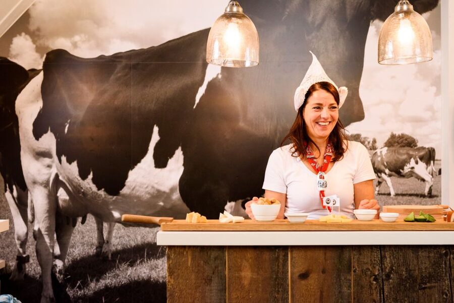 Amsterdam: Premium Henri Willig Cheese Tasting Experience - Ten cheeses in the heart of old Amsterdam