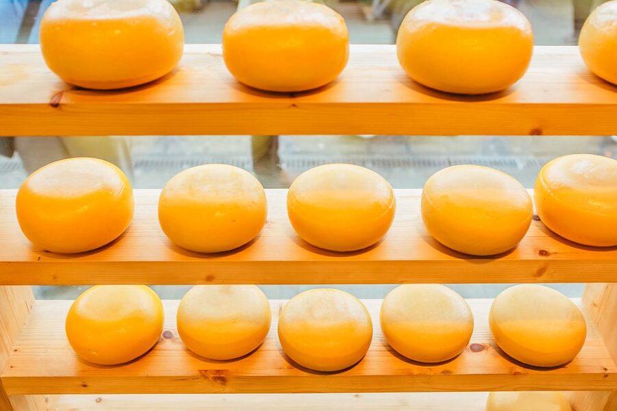 Amsterdam: Premium Henri Willig Cheese Tasting Experience - What the 40 to 60 minutes feels like