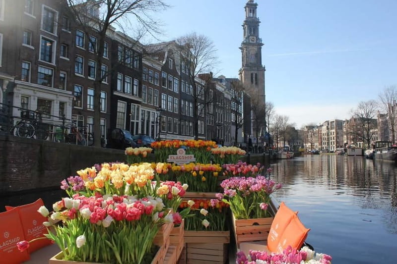 Amsterdam: Premium Tulip Boat Canal Tour - Key points to know before you book