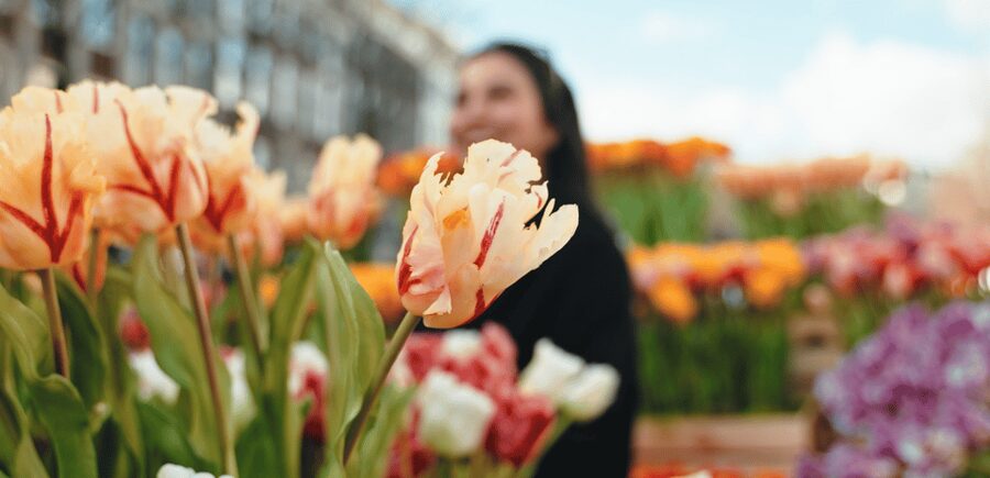 Amsterdam: Premium Tulip Boat Canal Tour - The Anne Frank House from the water