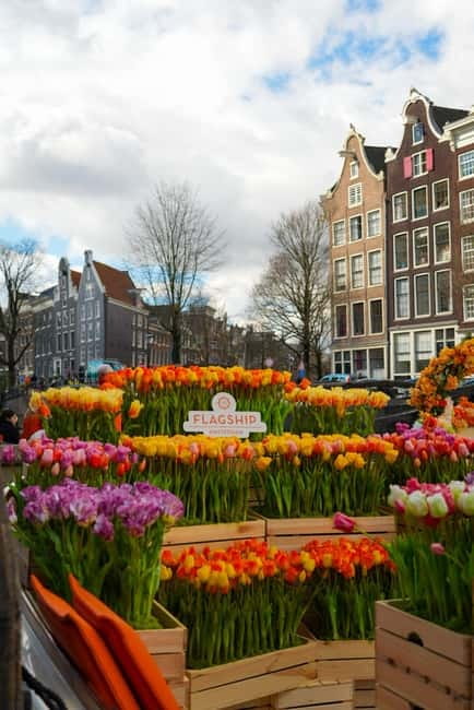 Amsterdam: Premium Tulip Boat Canal Tour - Is $32 a fair price for one hour?