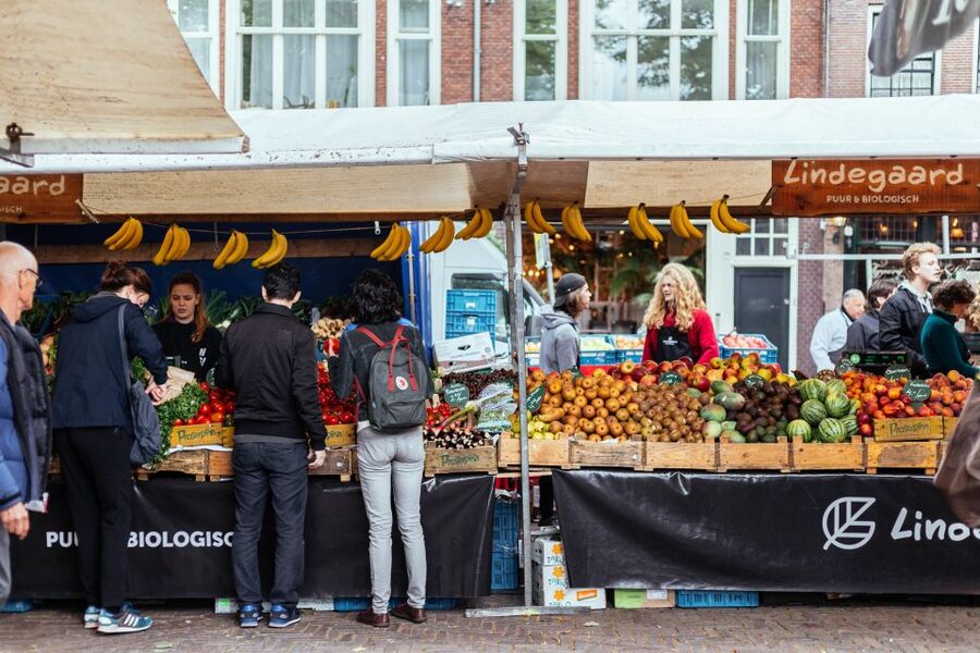 Amsterdam: Private Food Tour with a Local - Walking, timing, and practical comfort