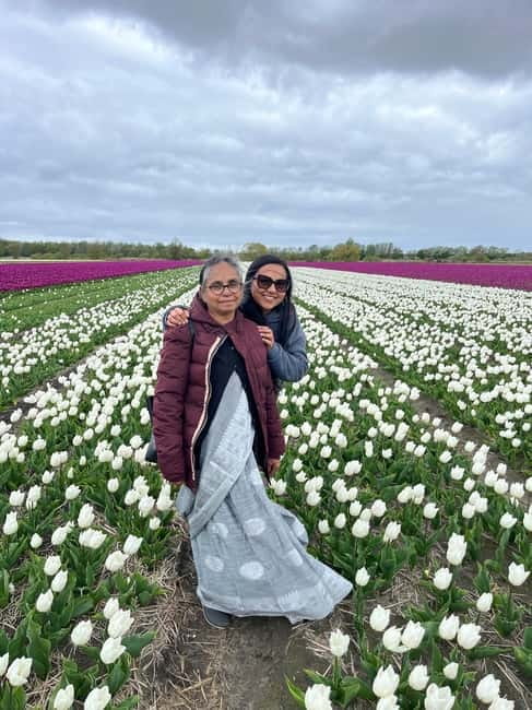 Amsterdam: Private Keukenhof and Free Tulip Tour - What the driver-guide adds to the day
