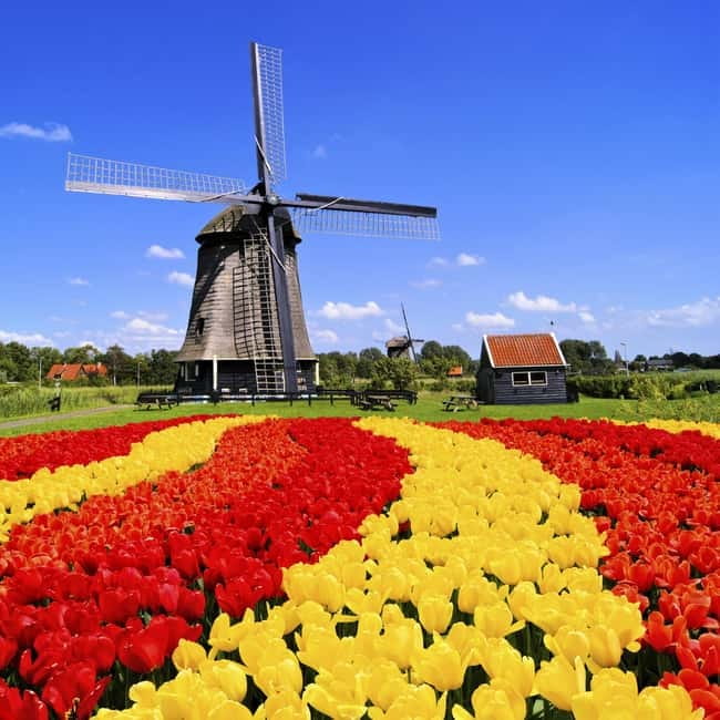 Amsterdam: Private Keukenhof and Free Tulip Tour - Pickup from Amsterdam, Schiphol, or the surrounding towns